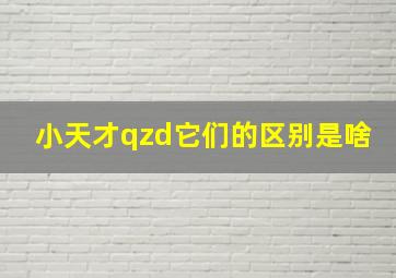 小天才qzd它们的区别是啥