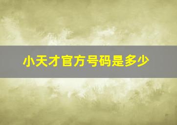 小天才官方号码是多少