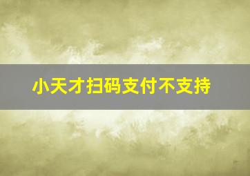 小天才扫码支付不支持