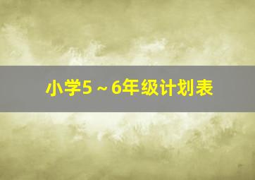 小学5～6年级计划表