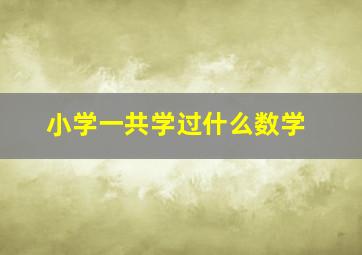 小学一共学过什么数学