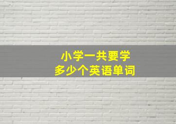 小学一共要学多少个英语单词