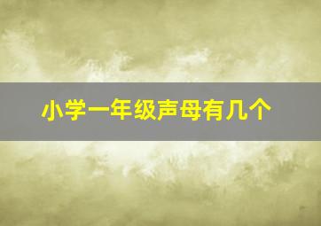 小学一年级声母有几个