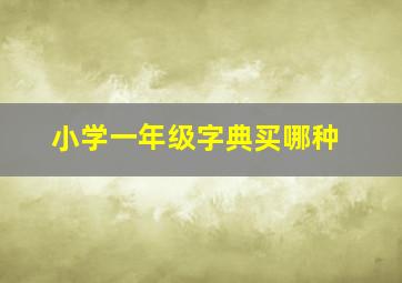 小学一年级字典买哪种