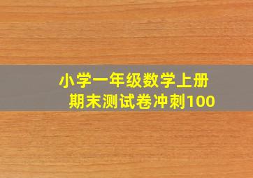 小学一年级数学上册期末测试卷冲刺100