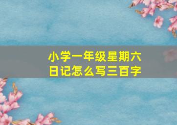 小学一年级星期六日记怎么写三百字