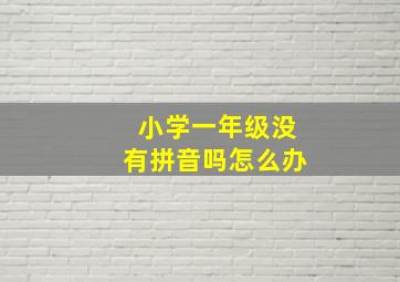 小学一年级没有拼音吗怎么办