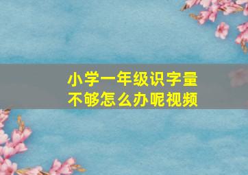 小学一年级识字量不够怎么办呢视频