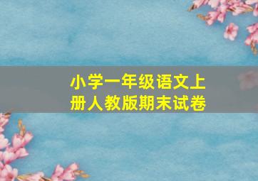 小学一年级语文上册人教版期末试卷