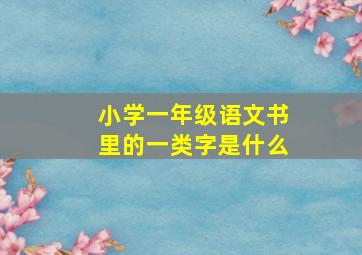 小学一年级语文书里的一类字是什么