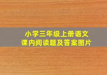 小学三年级上册语文课内阅读题及答案图片