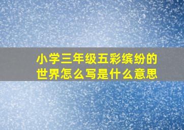 小学三年级五彩缤纷的世界怎么写是什么意思