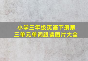 小学三年级英语下册第三单元单词跟读图片大全