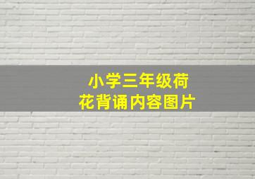 小学三年级荷花背诵内容图片