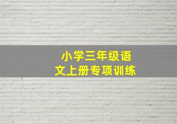 小学三年级语文上册专项训练