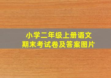 小学二年级上册语文期末考试卷及答案图片