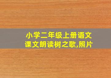 小学二年级上册语文课文朗读树之歌,照片