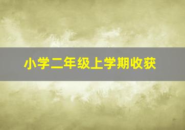 小学二年级上学期收获