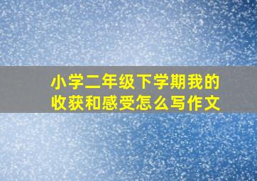 小学二年级下学期我的收获和感受怎么写作文