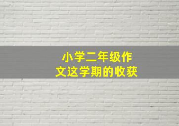 小学二年级作文这学期的收获