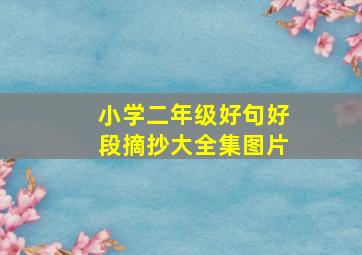 小学二年级好句好段摘抄大全集图片