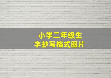 小学二年级生字抄写格式图片