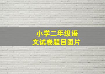 小学二年级语文试卷题目图片