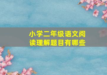 小学二年级语文阅读理解题目有哪些