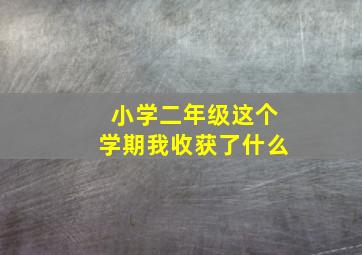 小学二年级这个学期我收获了什么