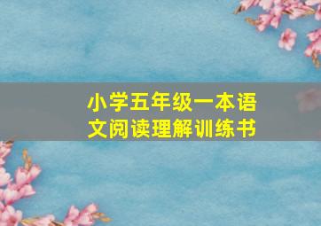 小学五年级一本语文阅读理解训练书