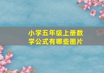 小学五年级上册数学公式有哪些图片