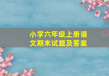 小学六年级上册语文期末试题及答案