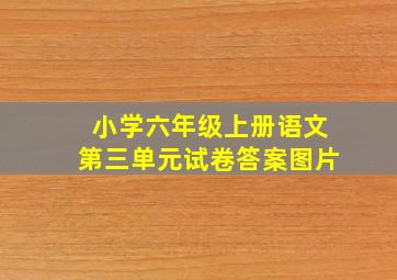 小学六年级上册语文第三单元试卷答案图片