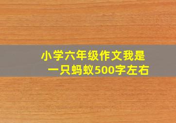 小学六年级作文我是一只蚂蚁500字左右