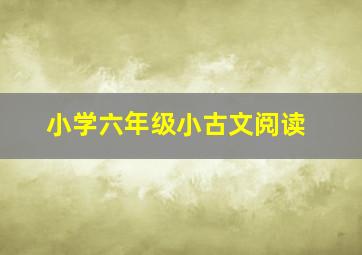 小学六年级小古文阅读