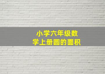 小学六年级数学上册圆的面积