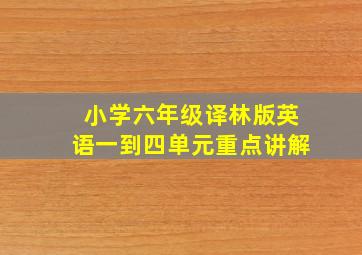 小学六年级译林版英语一到四单元重点讲解