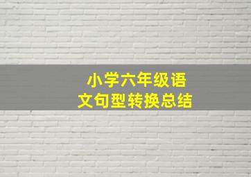 小学六年级语文句型转换总结