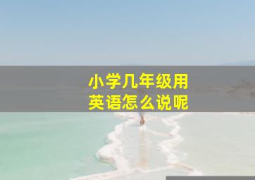 小学几年级用英语怎么说呢