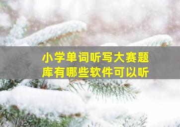 小学单词听写大赛题库有哪些软件可以听