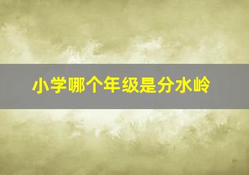 小学哪个年级是分水岭