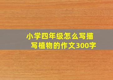 小学四年级怎么写描写植物的作文300字