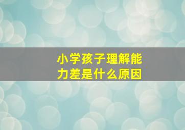 小学孩子理解能力差是什么原因