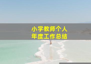 小学教师个人年度工作总结