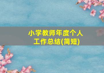 小学教师年度个人工作总结(简短)