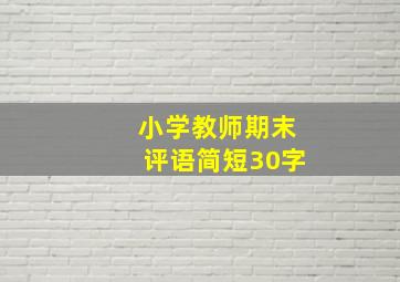 小学教师期末评语简短30字