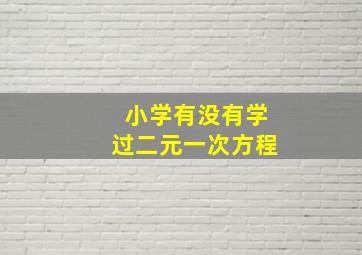 小学有没有学过二元一次方程