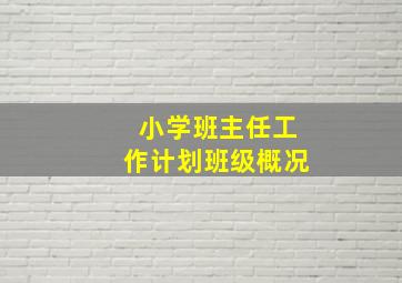 小学班主任工作计划班级概况