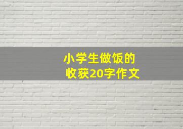 小学生做饭的收获20字作文