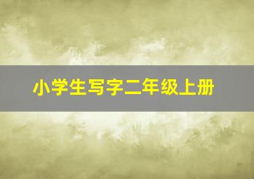 小学生写字二年级上册